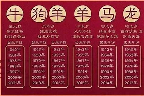 2025是什么生肖|2025年属什么生肖 2025年的生肖是什么